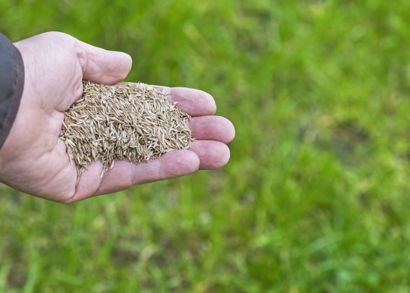 Lawn Reseeding Service in Honolulu, HI