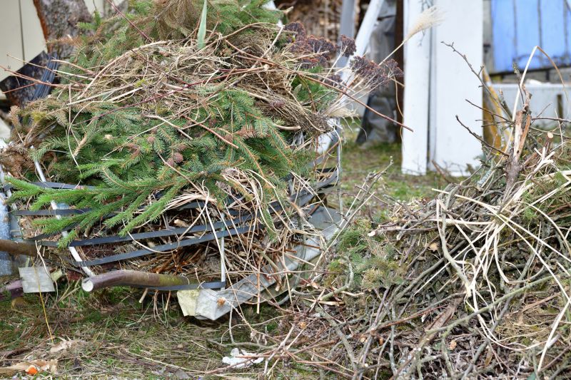 Lawn Waste Removal in Honolulu, HI