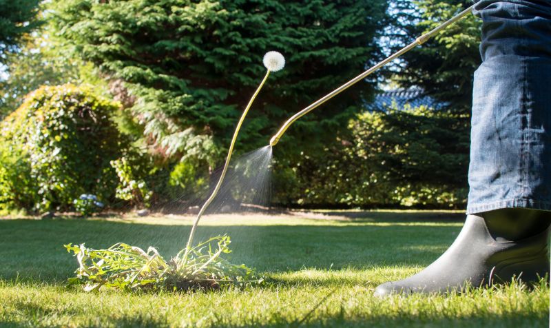 Slope Weed Control in Aiken, SC