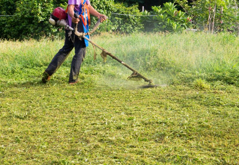 Slope Weed Control in Ventura County, CA