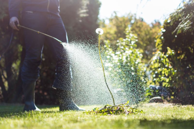 Weed Spraying in Rockwall, TX