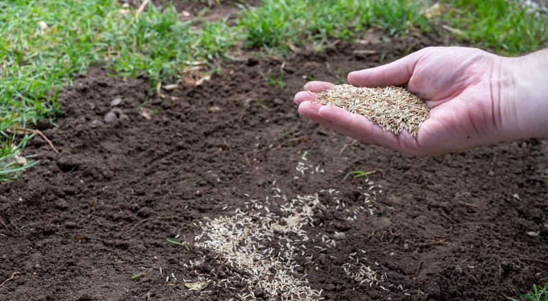 Commercial Lawn Seeding in Ventura County, CA
