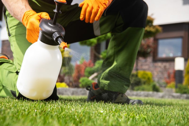 Crabgrass Prevention in Ventura County, CA