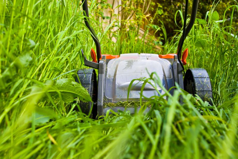 Property Mowing detail
