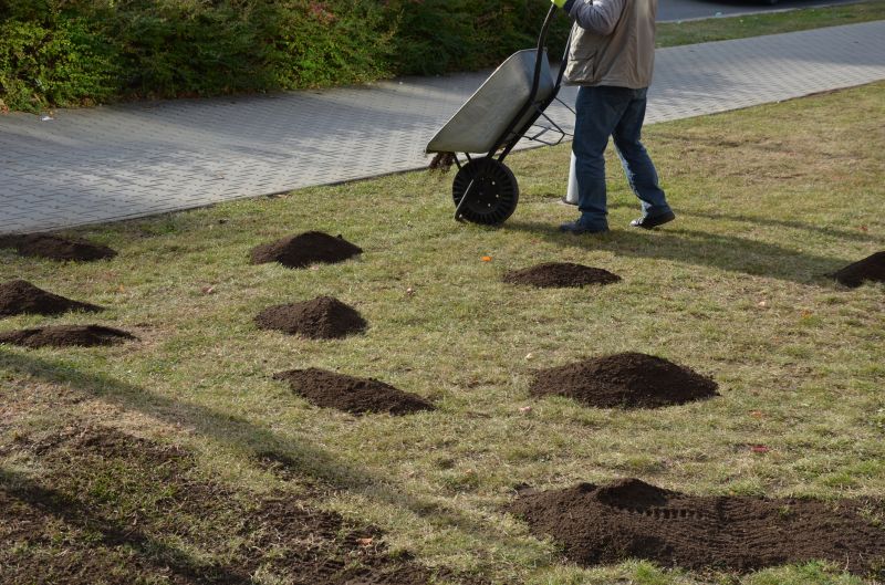Lawn Enrichment in Ventura County, CA