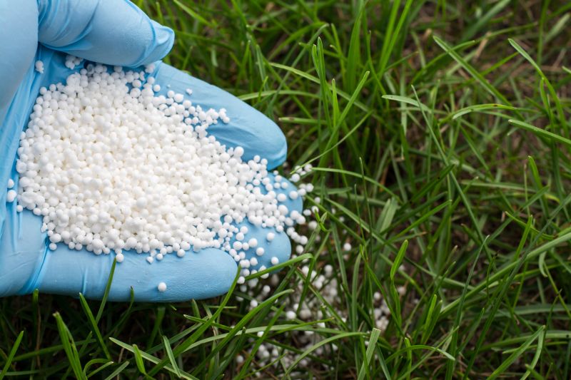 Lawn Fertilizing Service in Honolulu, HI