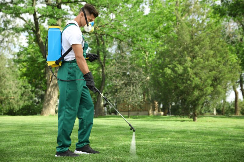 Lawn Moss Control in Honolulu, HI
