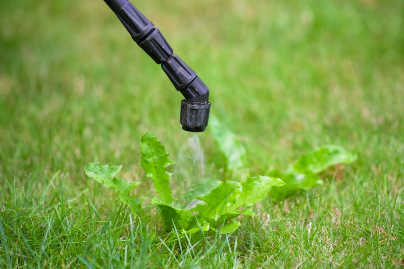 Lawn Weed Control in Ventura County, CA