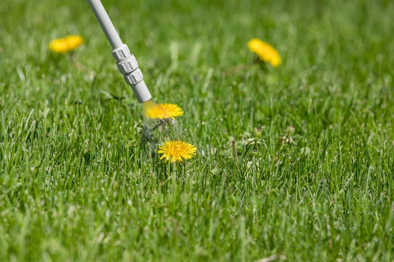 Lawn Weed Spraying in Ventura County, CA