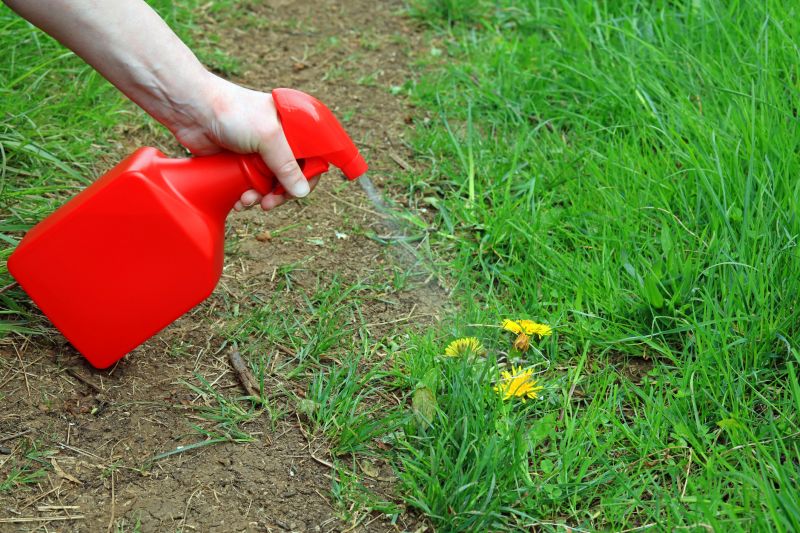 Lawn Weed Treatment in Aiken, SC