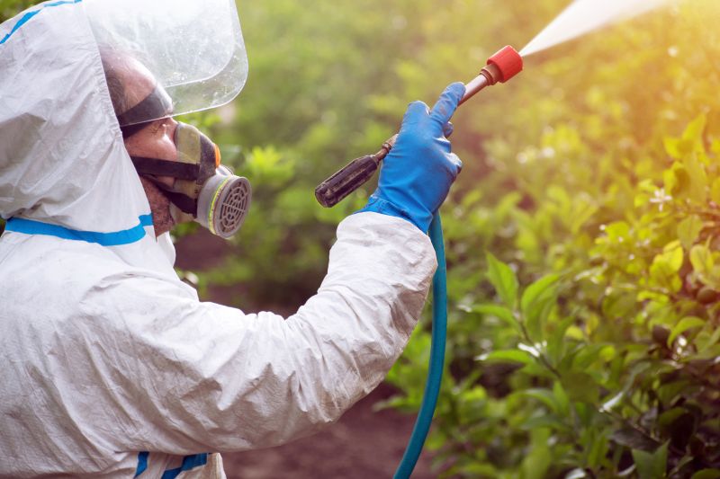Lawn Weed Treatment in Aiken, SC