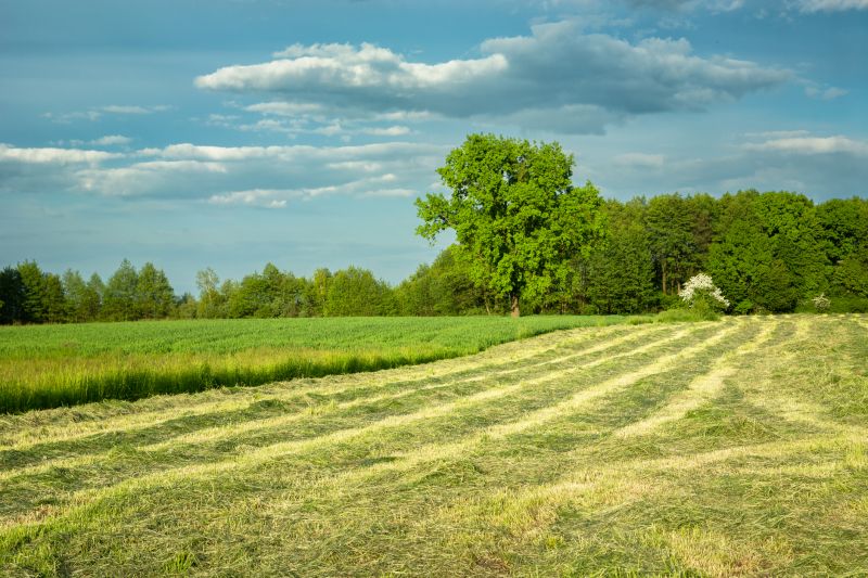 Pasture Mowing in Prince Georges County, MD