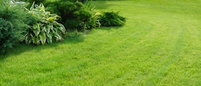 Summer Lawn Care in Bowie, MD
