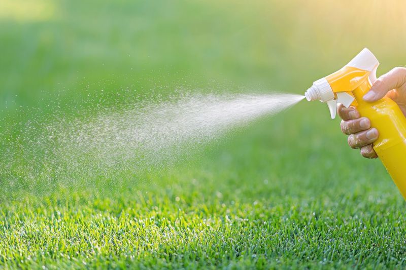 Weed Control Service in Ventura County, CA