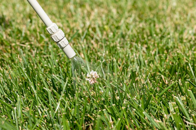 Weed Spraying in Aiken, SC