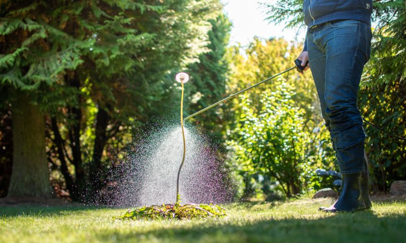 Weed Spraying in Rockwall, TX