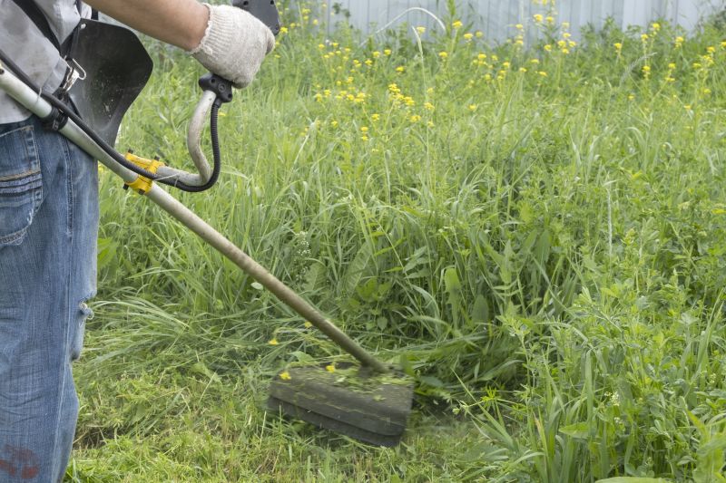 Weed Whacking in Bowie, MD