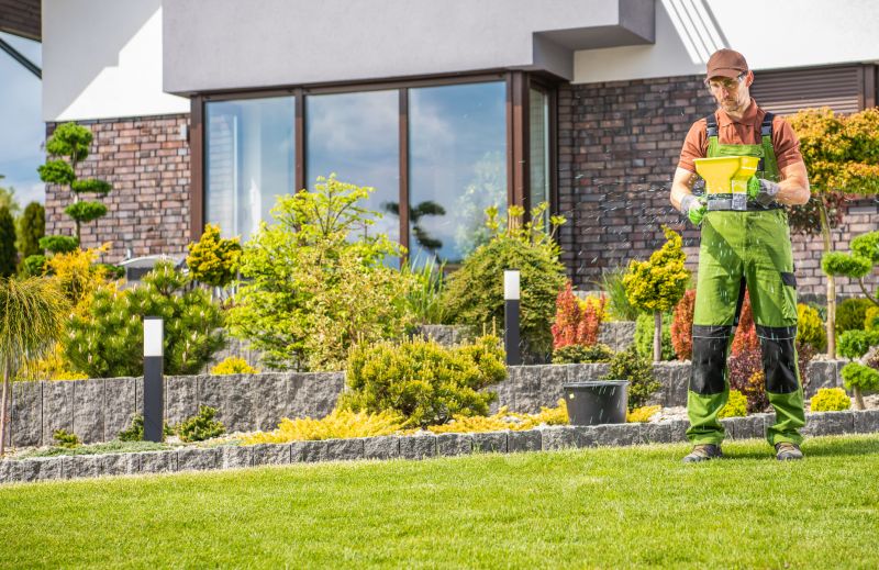 Yard Improvement Service in Ventura County, CA