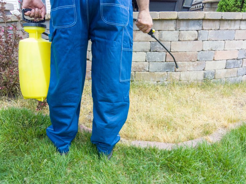 Yard Treatment Service in Ventura County, CA